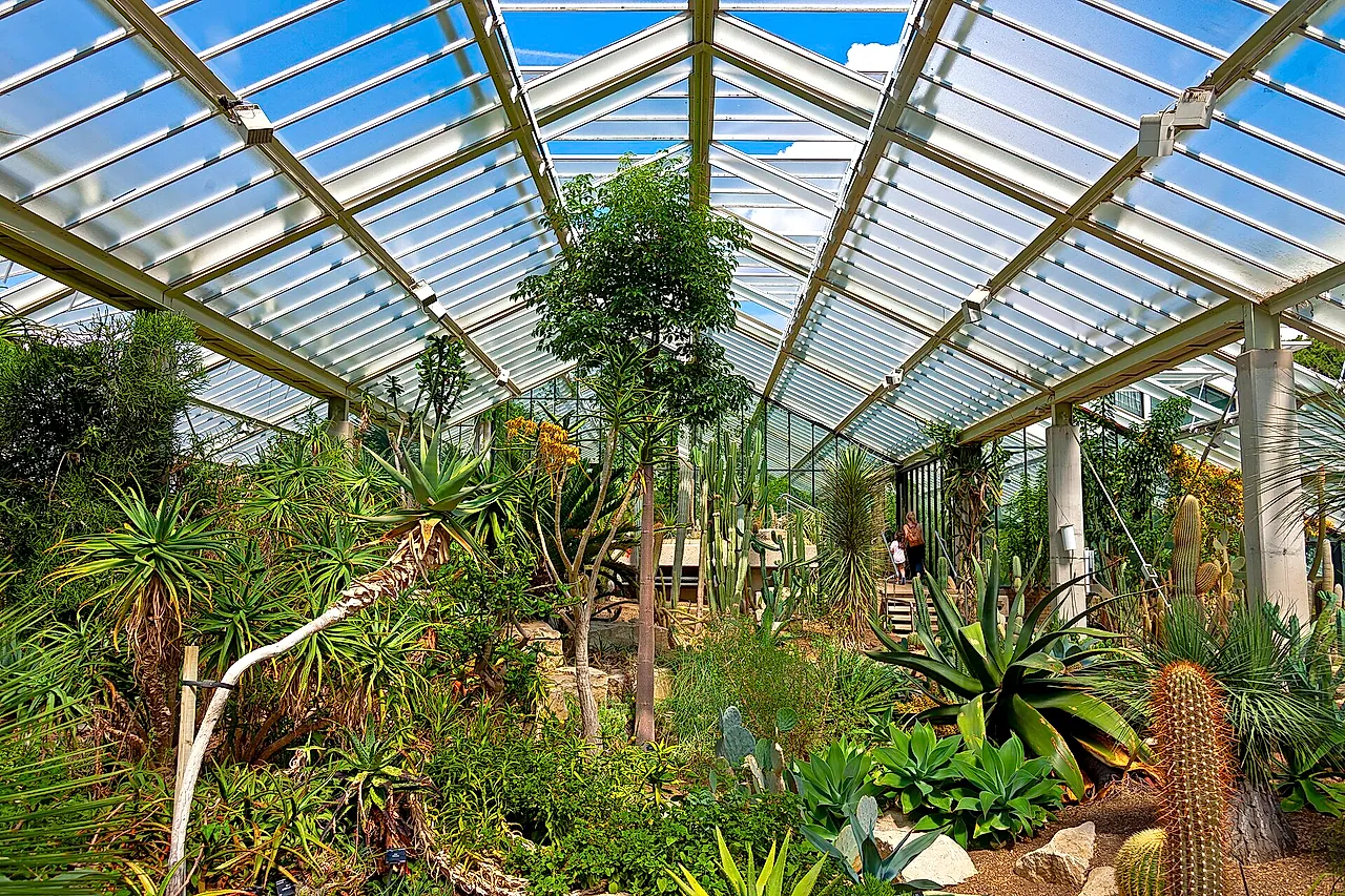Cacti, agaves and succulents under the glass roof of the Princess of Wales Conservatory