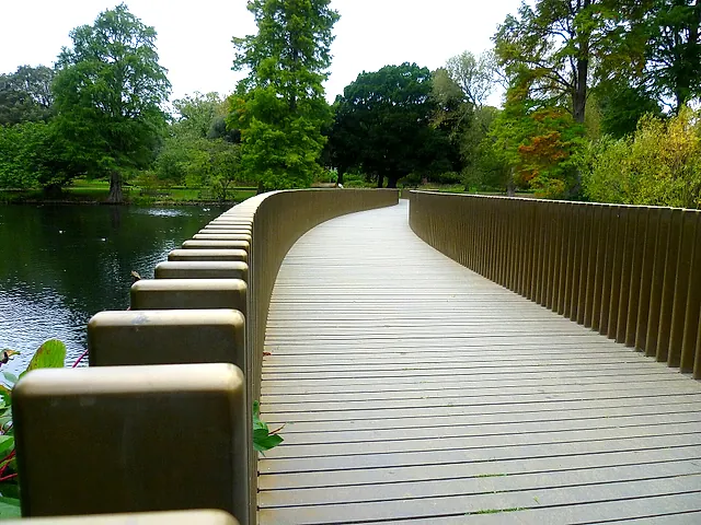 The curving bronze-edged Sackler Crossing footbridge over the lake, with trees beyond